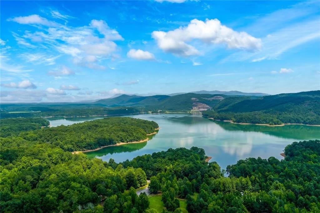 Lake and mountain views near the property, 1145 Embry Court, Ranger GA