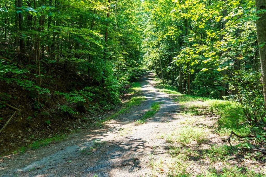 Wooded drive on the lot, 1145 Embry Court, Ranger GA
